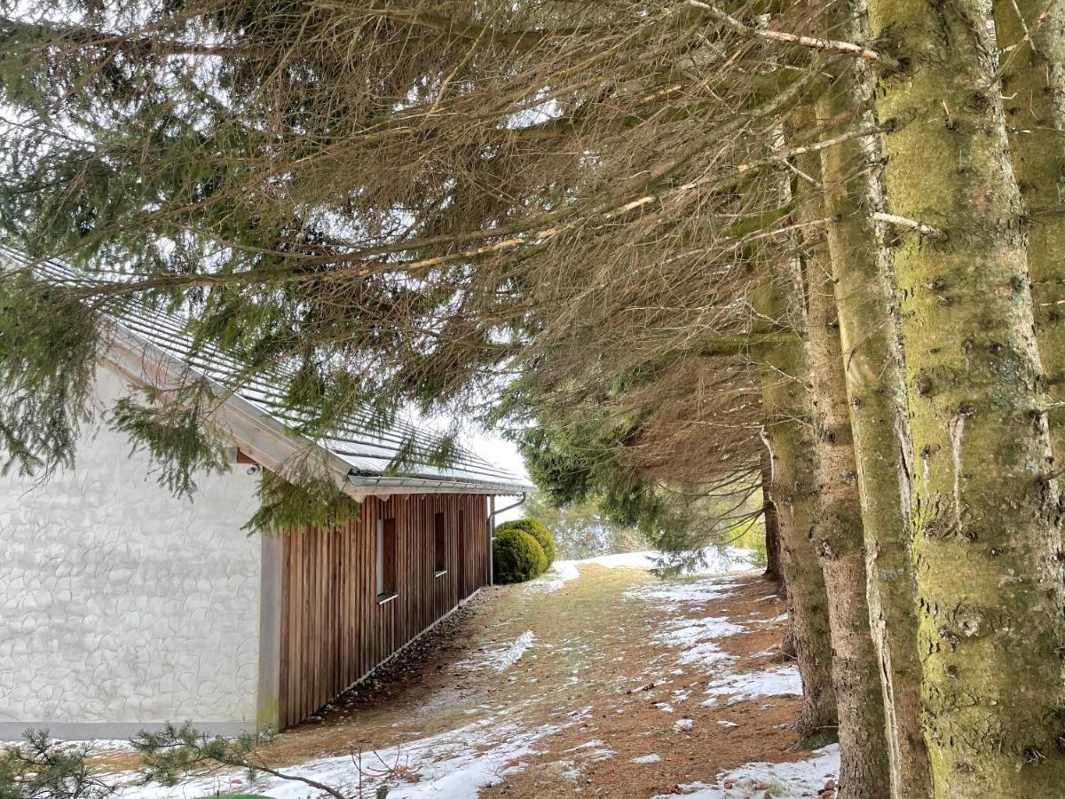Teichalm Lodge Landhaus Fladnitz an der Teichalm Zewnętrze zdjęcie