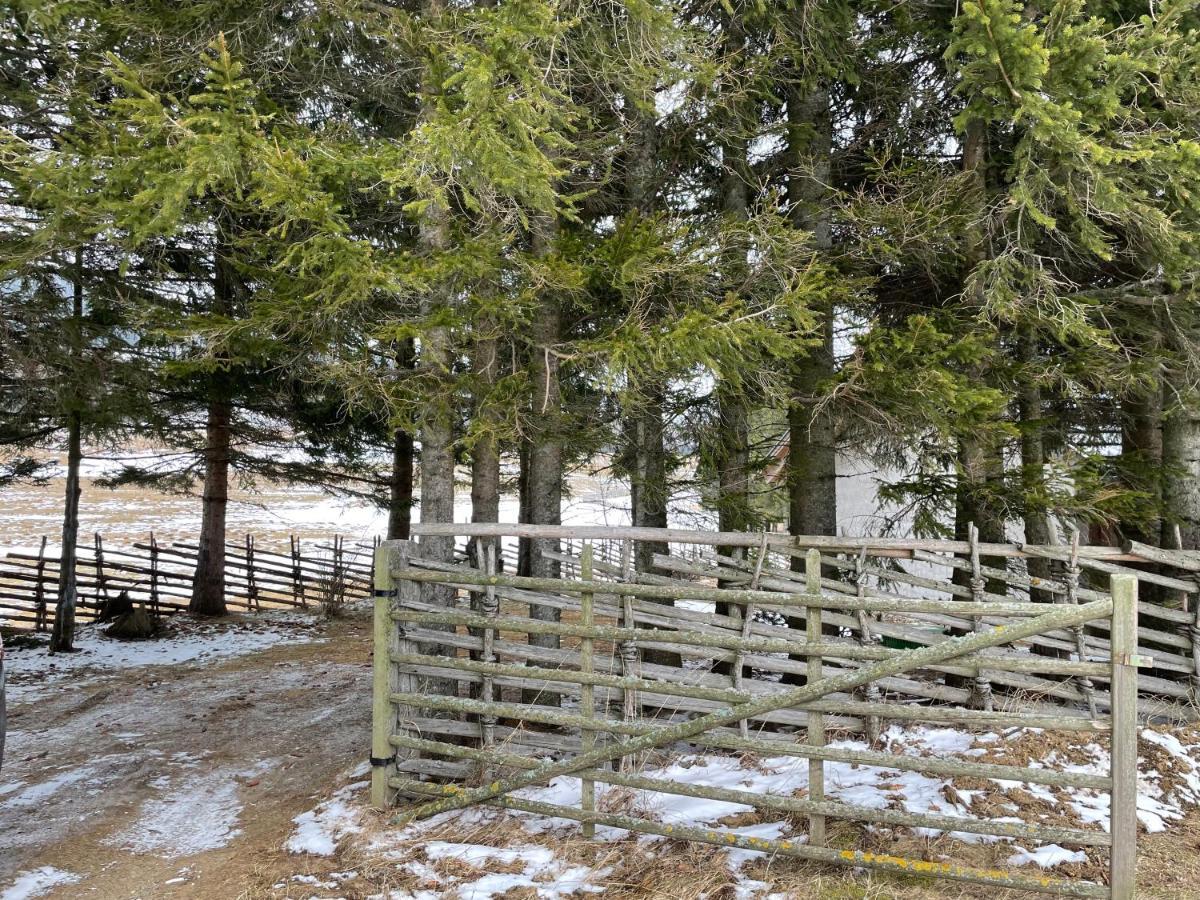 Teichalm Lodge Landhaus Fladnitz an der Teichalm Zewnętrze zdjęcie